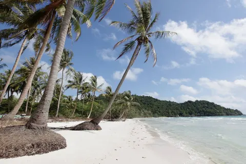 Perfect Match Singapore & Vietnam in Singapore — foto 5