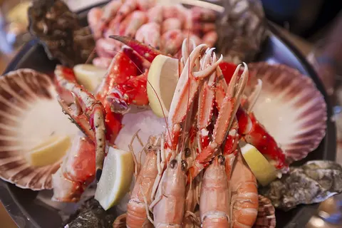 Noors Panorama foto 22