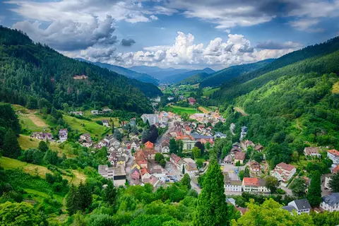 Zwarte Woud en de Elzas, Endingen in Endingen am Kaiserstuhl — foto 19