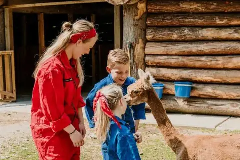Vakantiepark Dierenbos in Vinkel — foto 13