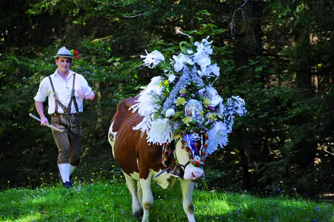 Camping Seeblick Toni foto 23