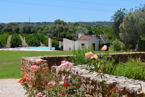 Quinta da Mesquita foto 2