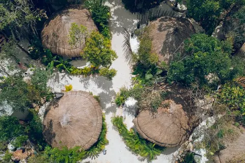 The Yellow Nest in Manuel Antonio Ay, foto 11