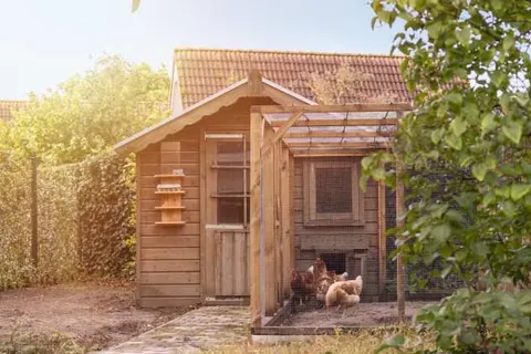 Summio Vakantiepark De Riethorst foto 9