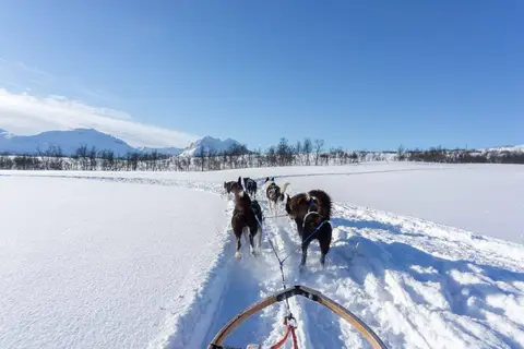 8-daagse Winterbelevenis Tromsø, Kiruna en het IJshotel in Noord-Noorwegen — foto 3