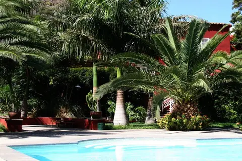 Finca Las Longueras in Agaete — foto 5