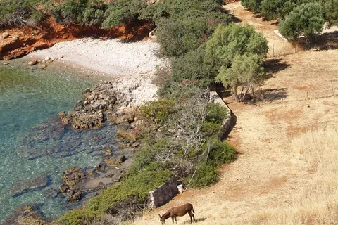 Cretan Village in Agios Nikolaos Municipal Unit — foto 4