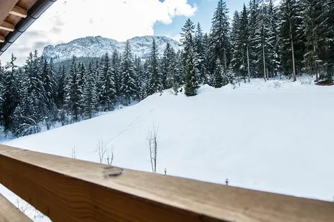 Hotel Melodia del Bosco foto 6