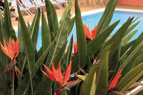 AQUA Hotel Bertran Park in Lloret de Mar — foto 21