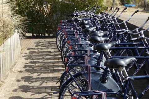 Duincamping De Lepelaar foto 5