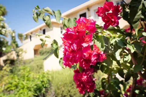 Akamanthea Holiday Village in Πόλις Χρυσοχούς — foto 7