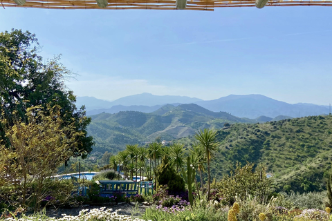 Finca las Nuevas foto 19