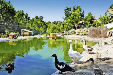 Camping Domaine La Yole by Happy Camp in Zuidkote — foto 9