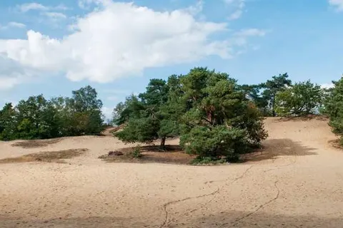 Recreatieoord Wilhelm Tell foto 25