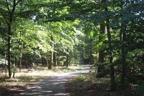 Recreatiepark De Tien Heugten foto 21