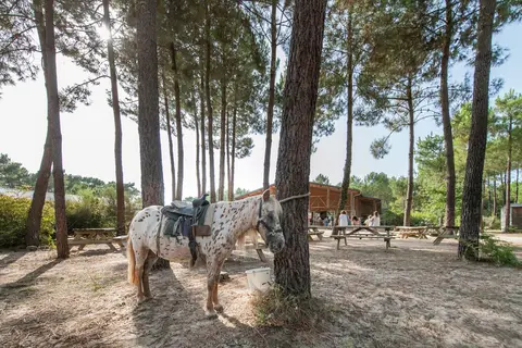 Sandaya Soustons Village in Soustons — foto 15