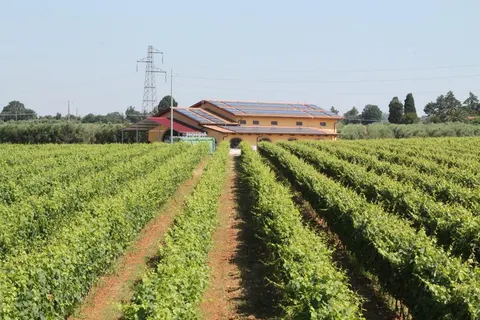 Agrihotel Elisabetta foto 4