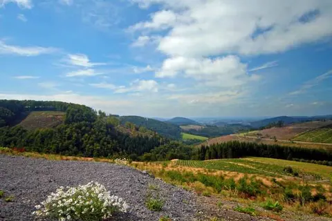 UplandParcs Bergresidence foto 14