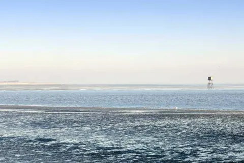 Churchill Hotel Terneuzen foto 25