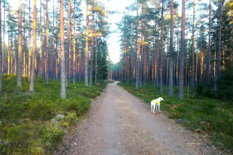 Camping Falkudden in Näs bruk — foto 4