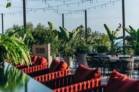 Hotel Paloma Oceana foto 12