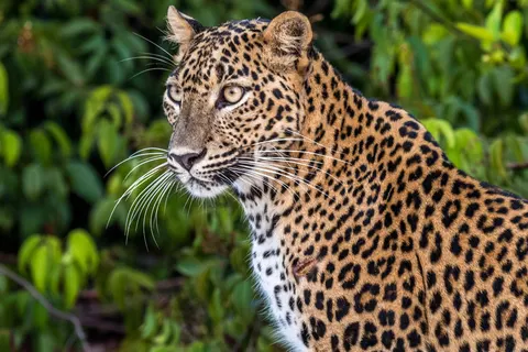 Discover Authentic Sri Lanka foto 2