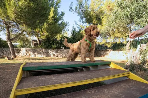 Camping Kovacine in Cres — foto 8
