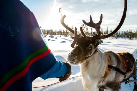 5-daags Winteravontuur Santa Claus in Fins Lapland — foto 4