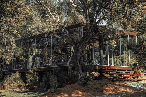 Cook's Club Corfu - adults only foto 20