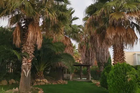 L Escala Resort foto 9