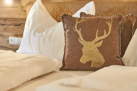AlpenParks Hotel & Apartment Sonnleiten in Saalbach-Hinterglemm, foto 3