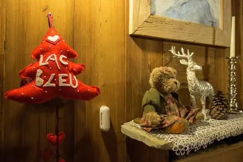 Hotel Lac Bleu in Valtournenche — foto 3