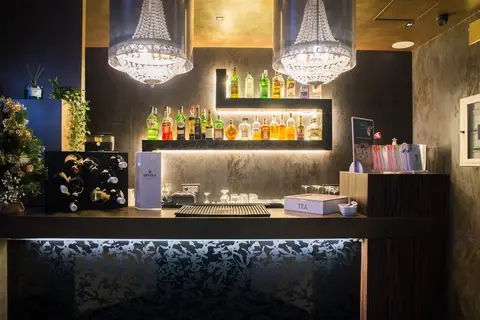 Divina Luxury Hotel in Rome, foto 16