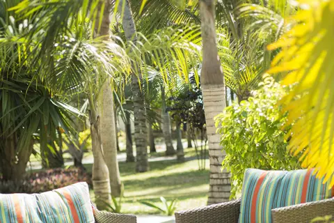 Veranda Palmar Beach in Trou d’Eau Douce VCA — foto 23