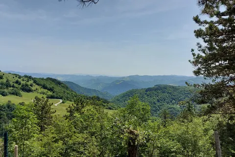 Vakantiepark I Cancelli foto 21