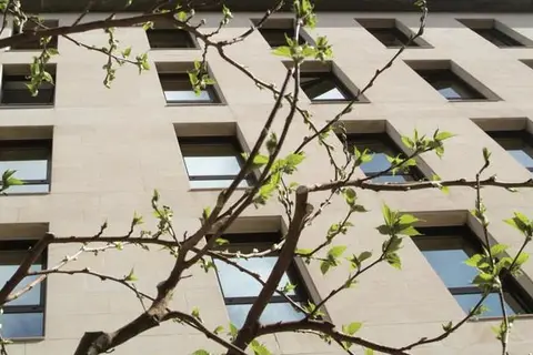 Hesperia Zaragoza Centro in Zaragoza — foto 30