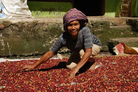 Ontdek Noord-Sumatra en relax op Bali in Jiwa Baru — foto 18