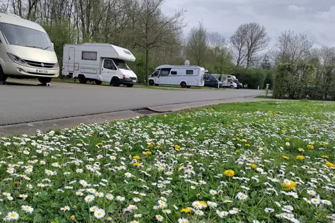 Urban Gardens Ieper in Ieper — foto 5