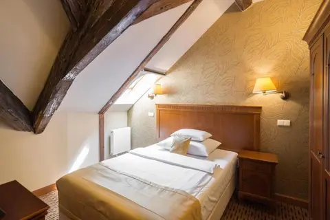 Hotel Majestic Plaza in Praag, foto 12