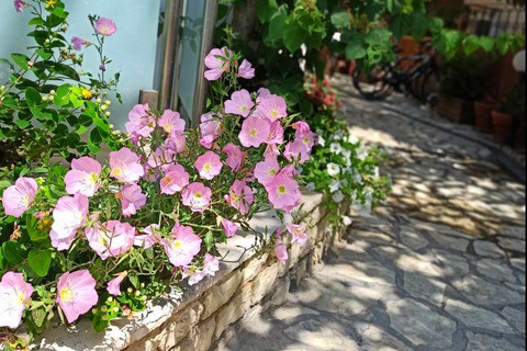 Captain's Seafront Apartments foto 8