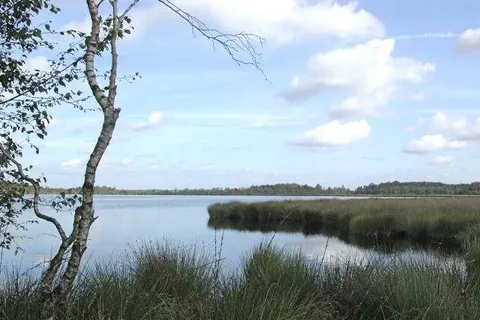 Oostappen Vakantiepark Boschbeek foto 13