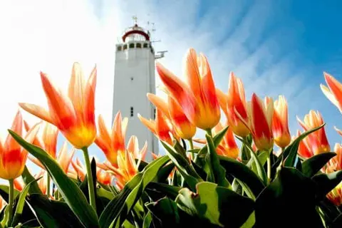 Two Brothers Hotel Astoria foto 13