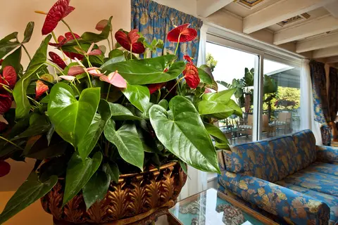 Excelsior Belvedere Hotel & Spa in Ischia — foto 21