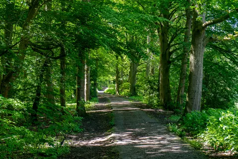 Het Amsterdamse Bos foto 21