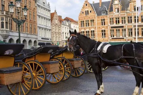 Bed and Breakfast Hof ter Duinen foto 15