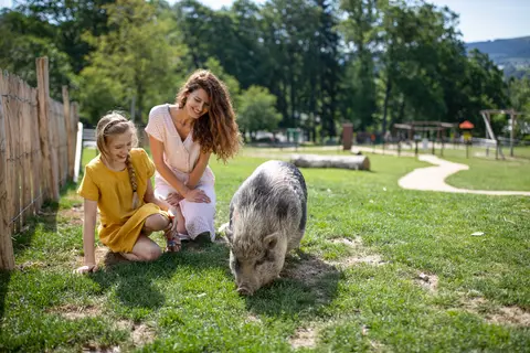 Center Parcs Les Ardennes in Vielsalm — foto 12