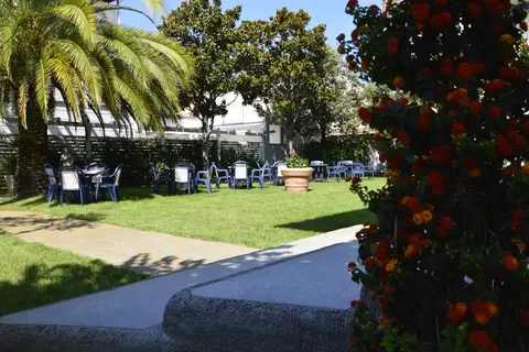 Fortunella in Camaiore — foto 19