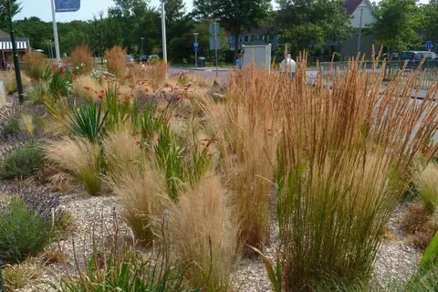 Hotel &ampapos;t Zwaantje Callantsoog foto 14