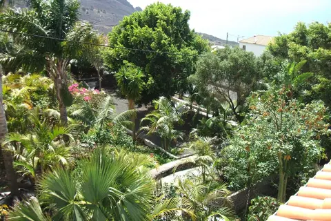 Apartments & Bungalows Finca Colón in Fuencaliente De La Palma — foto 3