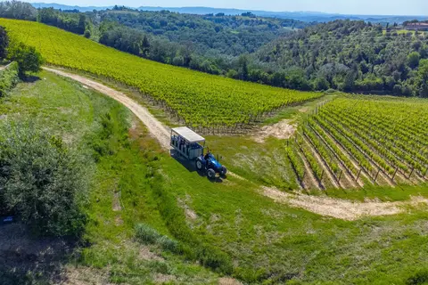 Tenuta Castellare di Tonda in Montaione, foto 14
